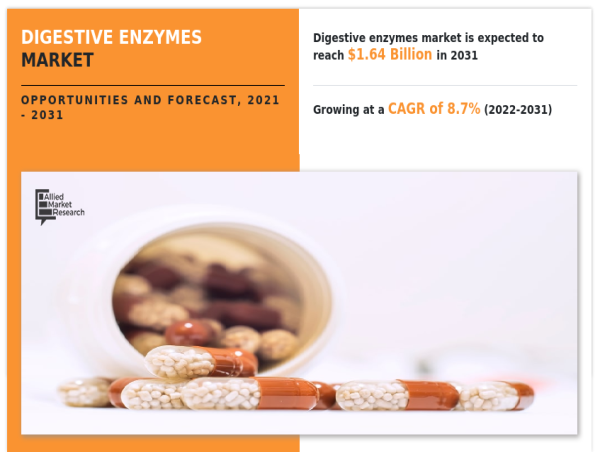 Global Digestive Enzymes Market Size Expected to Grow at 8.7% CAGR, Reaching USD 1.64 Billion by 2031