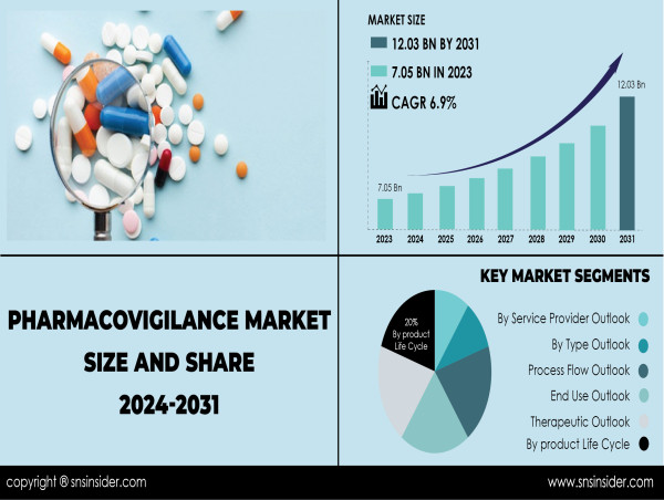  Global Pharmacovigilance Market Outlook, Size, Share & Trends Report, 2031 