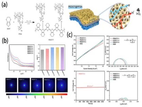 Enhancing the performance of proton exchange membrane water electrolysis by constructing electron/proton pathways