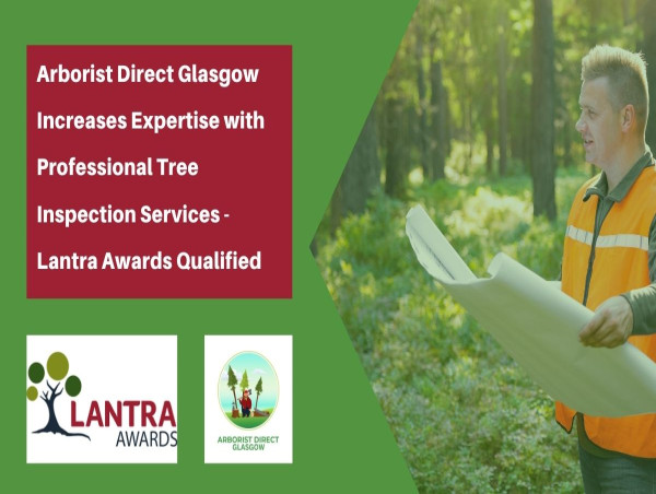 Arborist Direct Glasgow Increases Expertise with Professional Tree Inspection Services - Lantra Awards Qualified 