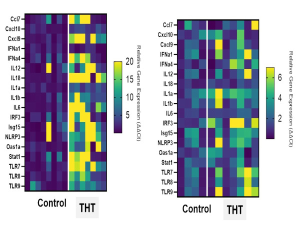  Sona's Cancer Therapy Triggers Abscopal Effect, Eliminating Distant Tumors In Preclinical Melanoma Study 