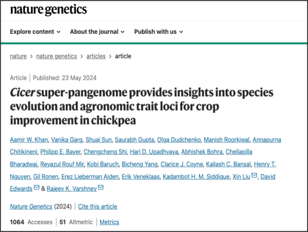  BGI-Research codirigió la investigación del superpangenoma de garbanzos 