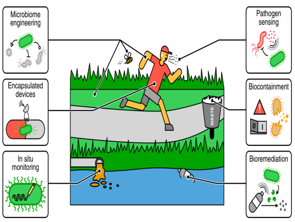 Enhancing Precision and Adaptability in Genetic Sensor Technology