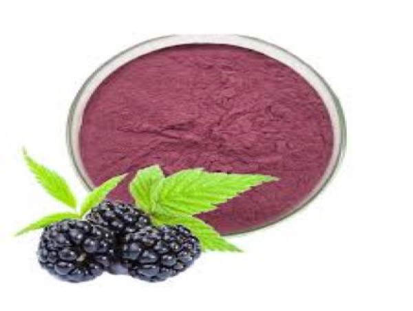  Natural Blackberry Flavor Extract Market is Set to Experience a Revolutionary Growth |Native Extracts ,Global Essence 