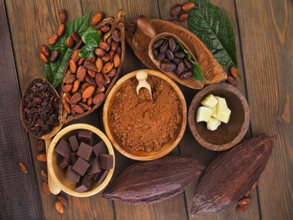  Cocoa Market to Partake Significant Development During 2024 - 2031 | The Barry Callebaut Group, The Hershey Company 