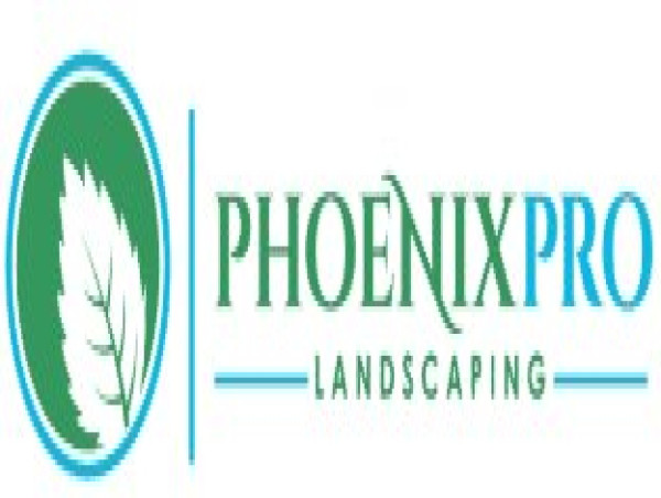  Phoenix Pro Landscaping Launches Innovative Water-Wise Landscaping Program in Gilbert AZ 