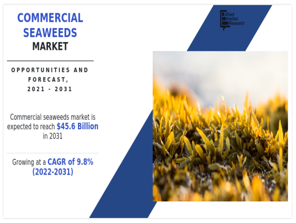 Commercial Seaweeds Market Set to Surpass $45.6 Billion by 2031, Driven by Rising Demand in Food & Beverage Sector 