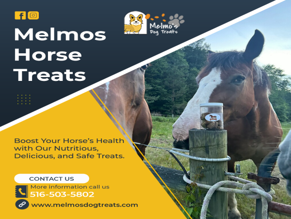  Melmo’s Dog Treats Launches New Line of Horse Treats and Doggie Birthday Cakes in Philadelphia 