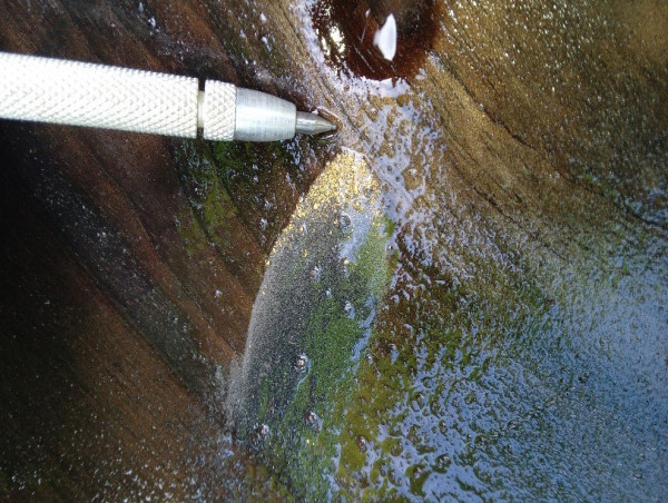 Aurania to Investigate Visible Gold Found at Crunchy Hill