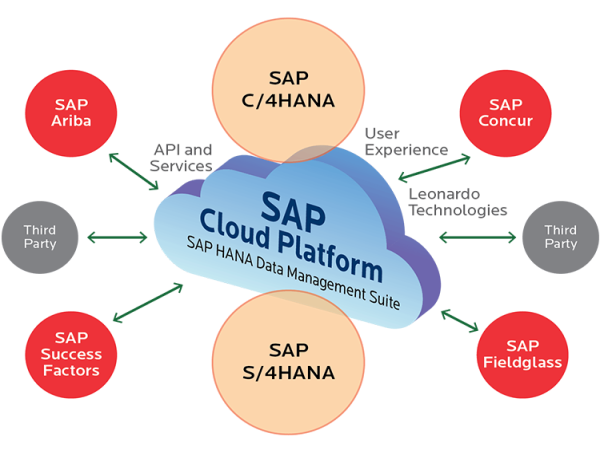 SAP Cloud Platform Services Market is Calculated to Reach of US$ 7.2 Billion by 2034, Fact.MR