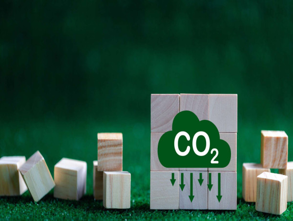 The Rise of Kenya Carbon Credit Market: A US$ 3,448.6 Million Industry Dominated by Top Giants