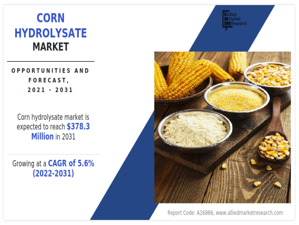 Corn Hydrolysate Market Forecast to Expand at 5.6% CAGR, Reaching $378.3 Million by 2031