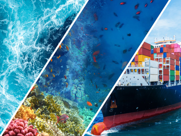  Oceanic Focus Welcomes World Maritime Day 2025 Theme: 'Our Ocean, Our Obligation, Our Opportunity' 