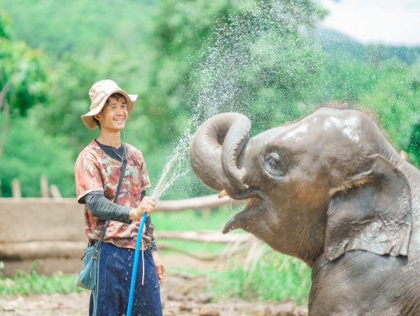  Exploring the Deep Bond Between Mahout and Elephant: A New Tour Experience in Chiang Mai 