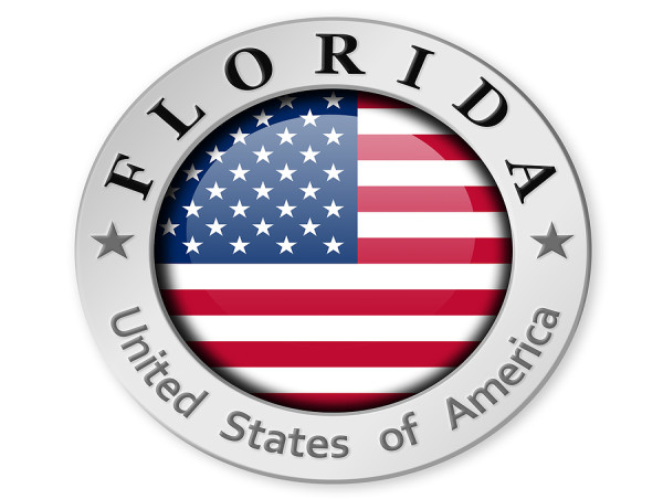  Florida Criminal Records Search Now Available to the Public 