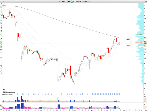  Long HUM: Uptrend Continues, Targeting $400 Amid Strong Support at $380 area 