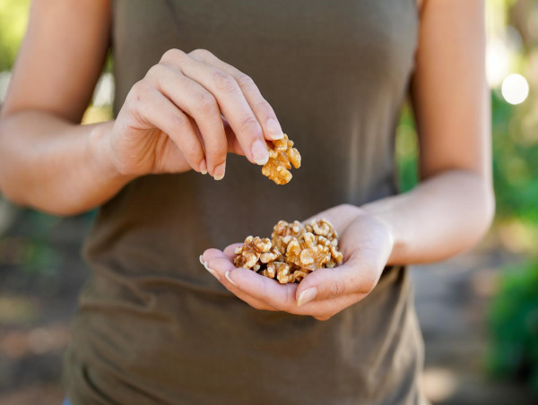 Research reveals consuming walnuts during pregnancy significantly improves neurodevelopmental outcomes in two-year-olds