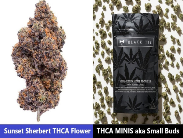  Innovative Strains: Black Tie CBD Introduces MINIS aka Small Buds and Sunset Sherbert THCA Flowers 