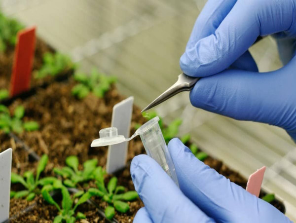  Agricultural Nanotechnology Market: Pin-Point Analysis for Changing Competitive Dynamics [Latest Information] 