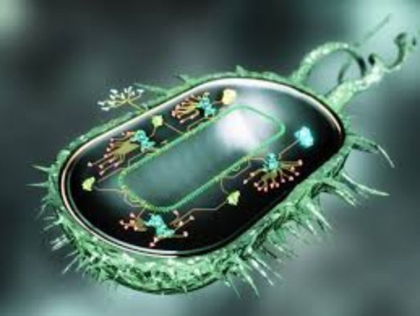  Synthetic Biology Market Size & Share to Surpass US$ 73.08 Bn 2031 | Merck KGaA, Bota Bio, Creative Biogene 