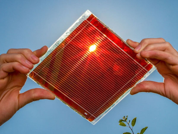  Perovskite Solar Cell Market: USD 4,392.1 Mn by 2031, 56.8% CAGR | Saule Technologies, FrontMaterials Co. Ltd. 