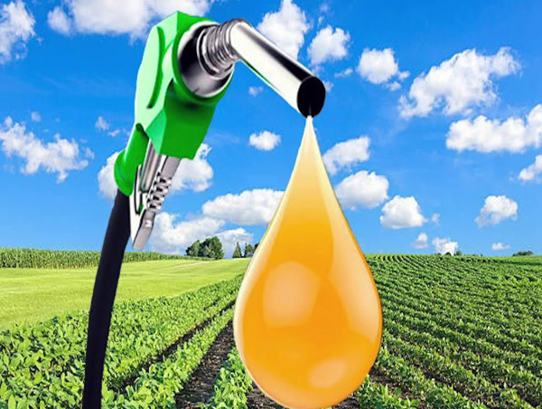  Forecast: Liquid Biofuels Market to Reach USD 137.68 Billion, 6.4% CAGR 2024-2031 | The Archer-Daniels-Midland Company 