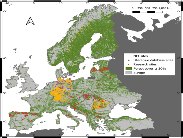  New Study Reveals Substantial Carbon Mitigation Potential in European Forests 