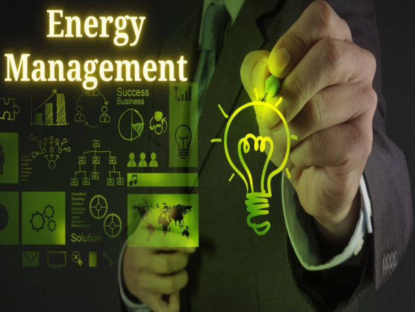  Energy Management Systems The Future of Trends and Predictions for Sector Insights, Analysis Report 2024 - 2031 