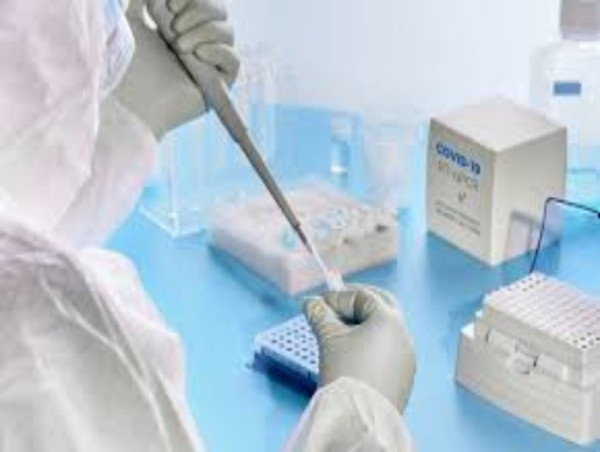 Molecular Diagnostics Market Size & Share to Surpass US$ 35,500.8 Mn 2031 | Hologic, Inc., Grifols, S.A., Cepheid