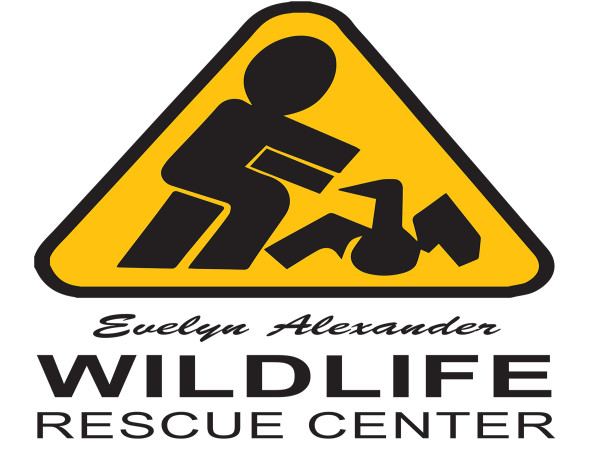  The Evelyn Alexander Wildlife Rescue Center Celebrates the 16th Annual Get Wild! Gala 
