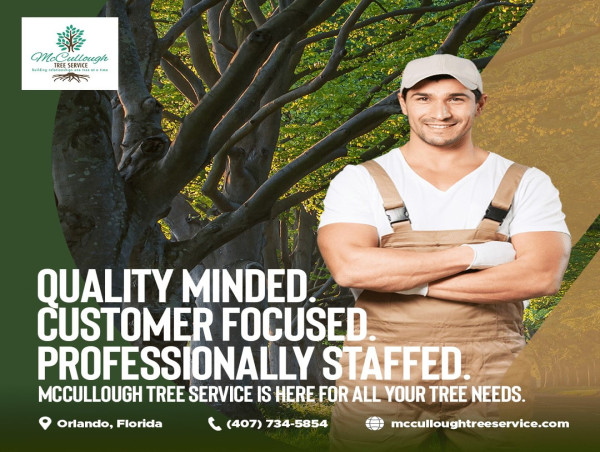  Expert Tree Removal Services by McCullough Tree Service in Orlando, FL 