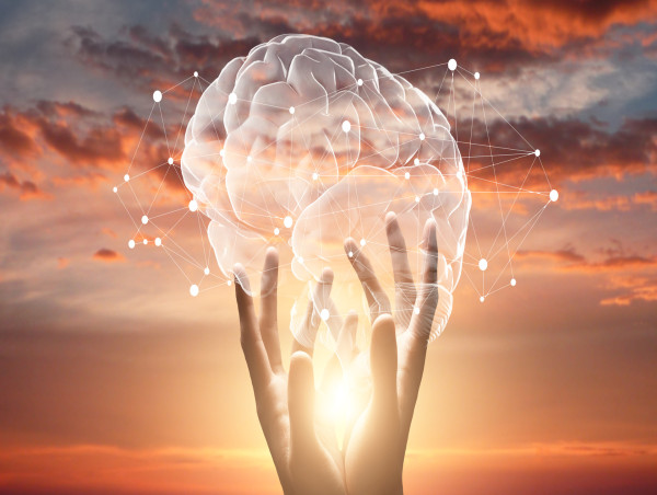 Advances in Neuropsychiatry: Understanding Brain-Behavior Relationships