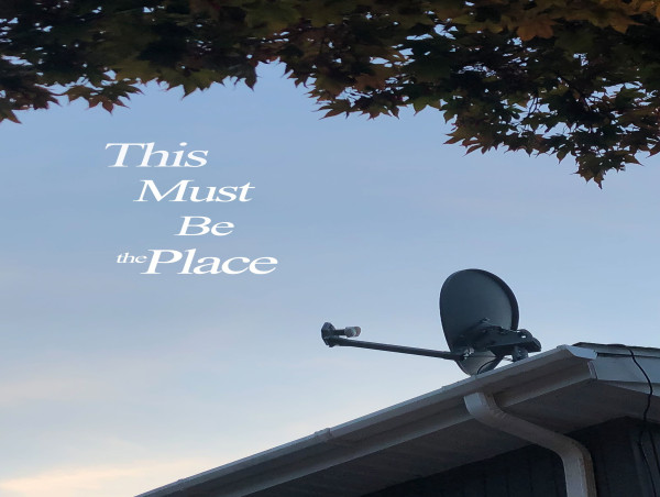  FREESTYLE DIGITAL MEDIA RELEASES SOCIALLY PROVOCATIVE DRAMA 'THIS MUST BE THE PLACE' 