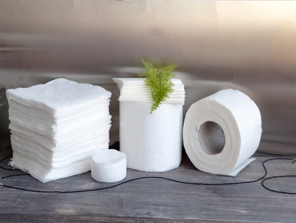  Tissue Products Market Poised for 23.5% CAGR Growth, Projected to Reach US$ 421.61 Billion by 2031 | Georgia-Pacific LLC 