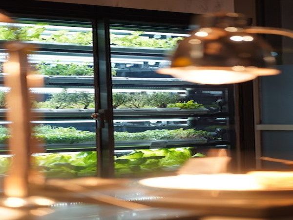  Pullman Jakarta Central Park Optimistically Maximizing Potential for a Sustainable Future 