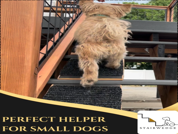  StairWedge Introduces Neutral and Innovative Solution for Pet Mobility 