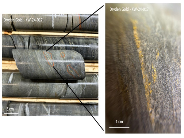  Dryden Gold Intercepts Strong Mineralization Including Visible Gold at its Gold Rock Project 