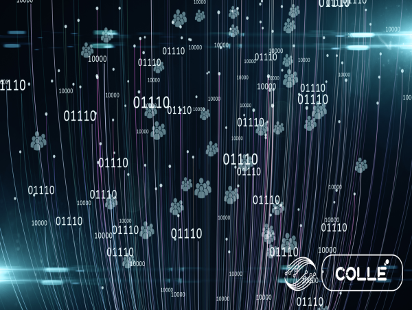  Colle AI (COLLE) Unveils New Brand Identity in Major Platform Overhaul 
