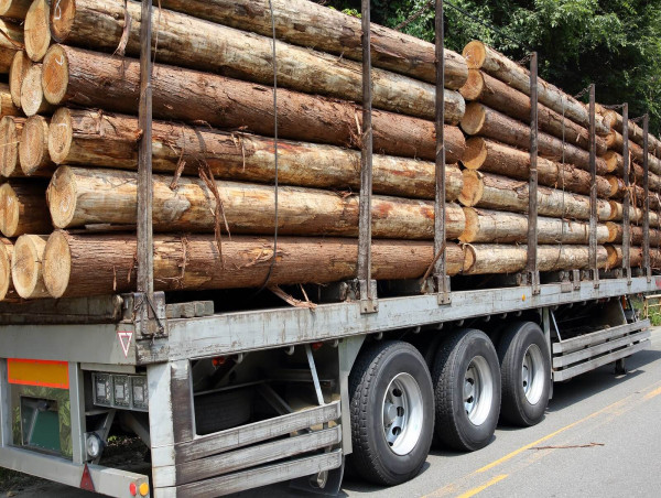  Logging Trailers Market Industry Overview, Size, and Growth Insights Report 2024 - 2031 