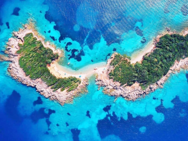  Breakthrough Olivine Technique to Transform Ocean Health and Combat Climate Change 