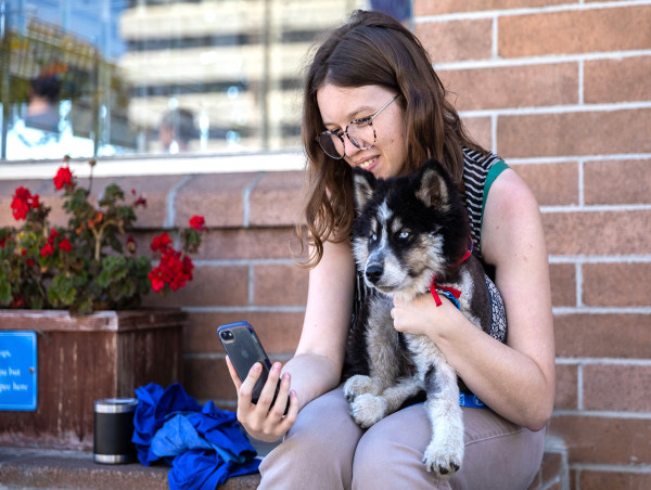  Berkeley Humane Hosts 20+ Rescues on 9/7 to Place 200+ Pets in Loving Homes - Event 10 AM to 4 PM at Berkeley Location 