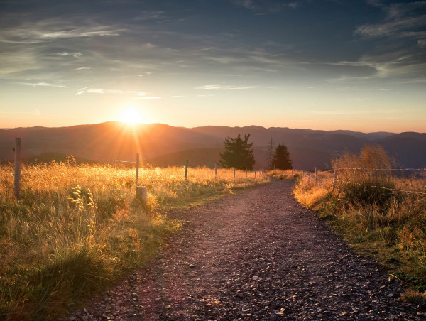 Embark on the Ultimate Summer Road Trip with Top Destinations in Pick-ups or SUVs 