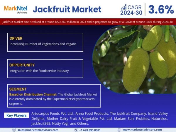  Jackfruit Market Growth Continues: Hits USD 290 Million Value in 2023, Expected CAGR of 3.6% by 2030 