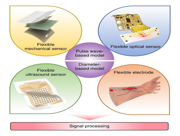  New progress in wearable blood pressure monitoring enabled by flexible electronics and machine learning 