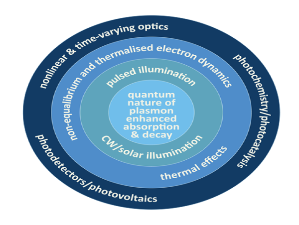 Unveiling the power of hot carriers in plasmonic nanostructures