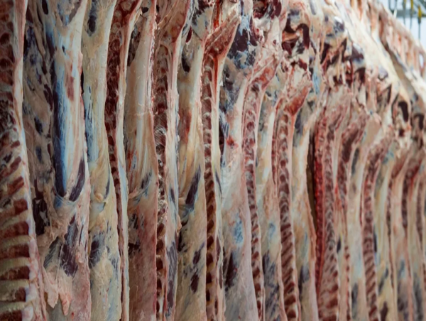  Sustainable Meats Awarded $10,000 Grant for Workforce Development & Continuing Education 
