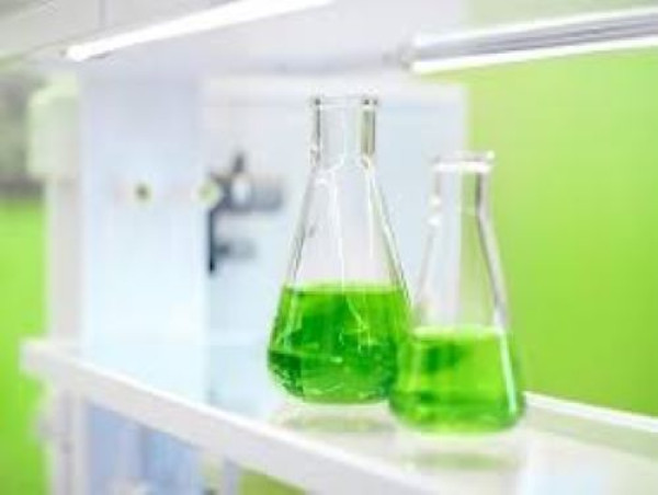 Green and Bio-Based Solvents Market Is Likely to Enjoy Remarkable Growth |BASF SE , Evonik Industries AG