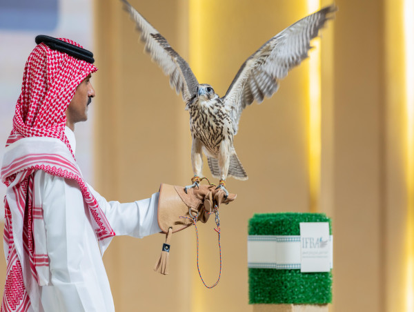  Falcon Auction Achieves Over $1.4 Million in Sales as Global Participation Grows 