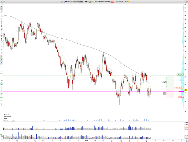 Long NTLA: Intellia Therapeutics Holds Strong at $22 Support, Eyeing Short-Term Target at Key Resistance