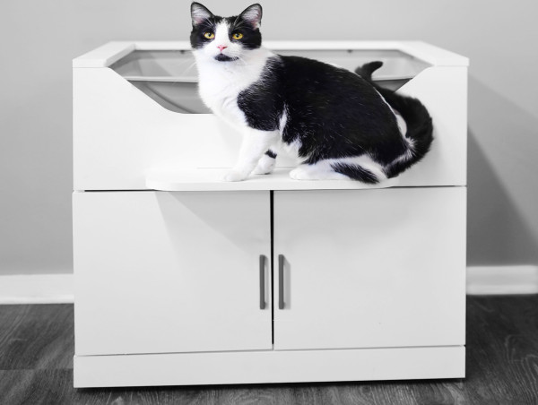  LoftyLoo™ Raised Litter Box Empowers Millions of Disabled and Senior Cat Owners to Safely Care for their Pets 